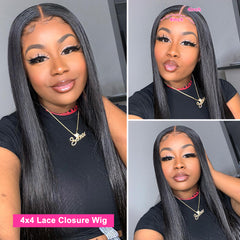 Cranberry Straight Lace Front Wig Brazilian Hair Wigs Remy Lace Front Human Hair Wigs For Women Pre Plucked HD Lace Frontal Wig